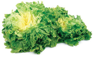 Solata Endivija eskariol