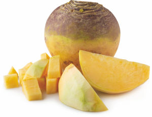 Koleraba podzemna rumena