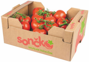 Paradižnik v grozdih, Sončko
