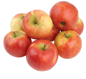 Jabolka IK Elstar SLO