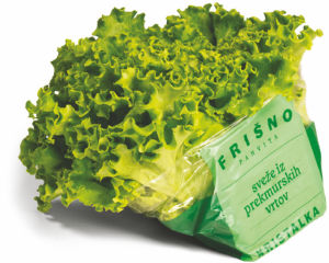 Solata Frišno, kristalka