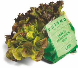 Solata Frišno, trio