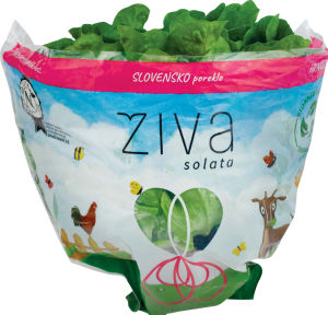 Solata Živa kristalka, SLO
