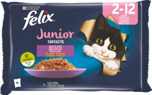 Felix za mačke mokra hrana, Junior, 4 x 85 g
