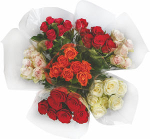 Šopek vrtnic, mix, 7 steb., 50 cm