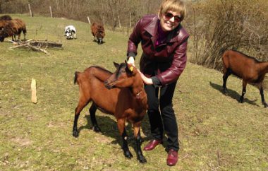 Z inovativnim projektom partnerskega kmetovanja – Posvoji kozo proti zaraščanju Krajinskega parka Goričko in novim priložnostim naproti