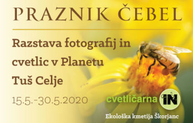 Praznik čebel – razstava fotografij in cvetlic